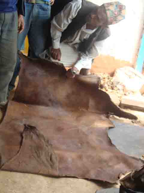leather-tanning-process-nepal-step-3-imartisan